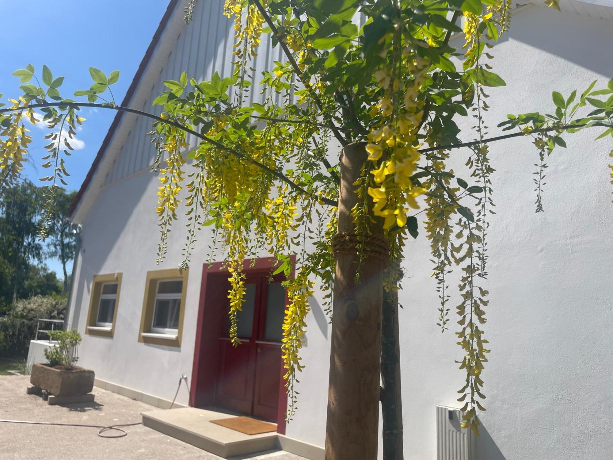 Appartement Mit 2 Schlafzimmern Und Terrasse Halle  Exterior photo
